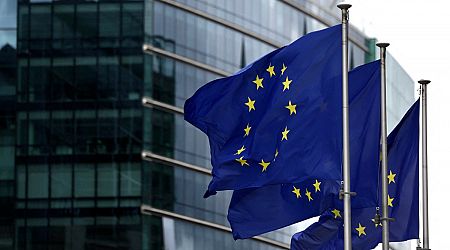 EU's individual governments hesitate on Chinese EV tariffs