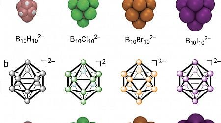 First set of rational design principles for chaotropic membrane transporters
