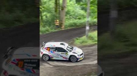 #rally #bohemia #2024 #rallycar #race #car #r5 #rs #czech #republic #speed #drift #youtubeshorts