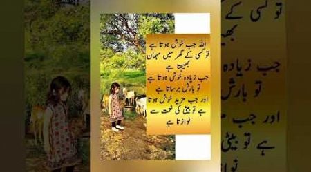 Love status couple videos Urdu Hindi status #Shorts #Urdupoetry #Poetry #Youtubeshorts #Viralvideos