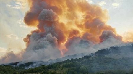 Some 7,000 Decares Affected by Fire North of Stara Zagora