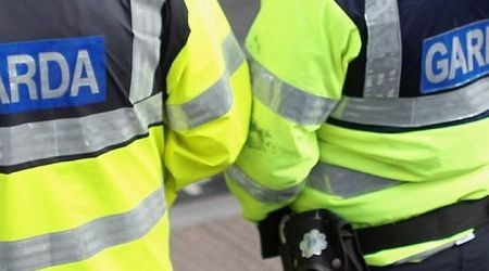 N80 reopened following death of Tipperary woman (30s) in Carlow crash