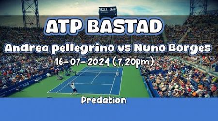 Tannis Predation today|WTA Budapest|ATP Gstaad|ATP Bastad|ATP Newport|WTA Palermo|ATP Hamburg