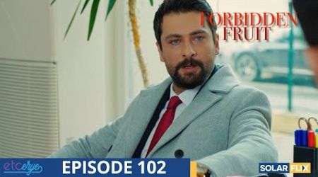 Forbidden Fruit Episode 102 | FULL EPISODE | TAGALOG DUB | Turkish Drama