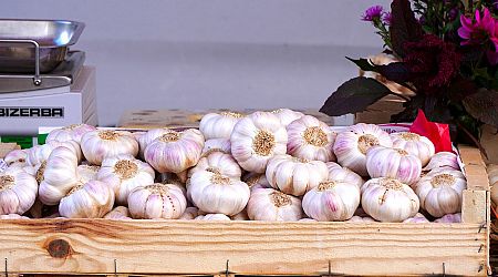 15 arrested for stealing 2,500 heads of garlic
