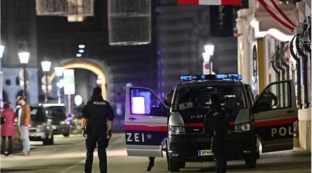 Arrest in Vienna Tied to Violent Incidents Over 3 Days