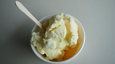 Vanilla reigns supreme in Latvian ice cream survey