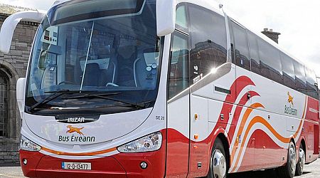 Gardai probe after 'children hijack Limerick bus at gunpoint' and lead driver to 'planned ambush'