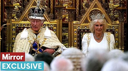 King Charles' anxiety signals prompted concern from Queen Camilla during speech - expert