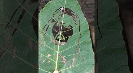 Johnny Depp leaf art
