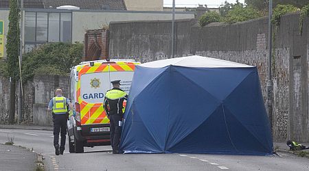 Suspected stolen car involved in Dublin hit-and-run that killed man aged in his 40s