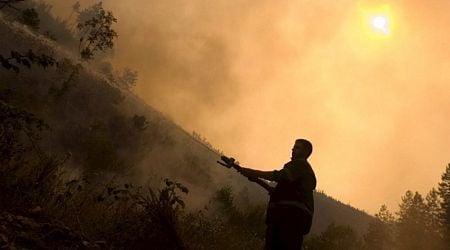 Heatwave-stricken Bulgaria banking on EU help to fight fires