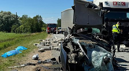 Safety audit on crash-prone highway in Latvia detects problem bushes