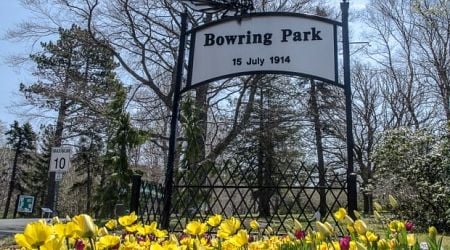 Residents near Bowring Park question park safety after weekend assault