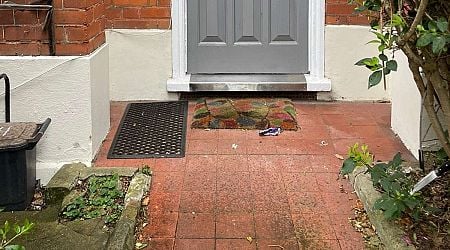 Residents of a quiet Dulwich street woke to find knives and nos canisters in their front gardens