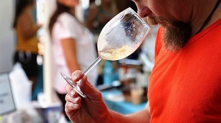 Bulgarian and foreign winemakers to present over 350 wines and spirits in Burgas