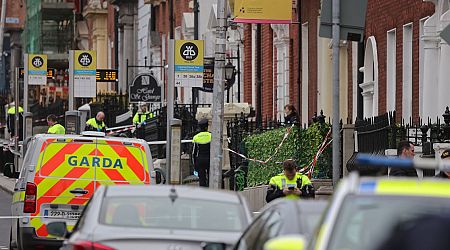 Girl (5) injured in Parnell Square stabbing may be discharged from hospital within months, says mother
