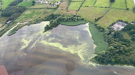 Lough Neagh action plan back before Executive after toxic algae retakes lake