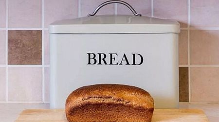 UK households who have bread bins in their kitchen 'warned'