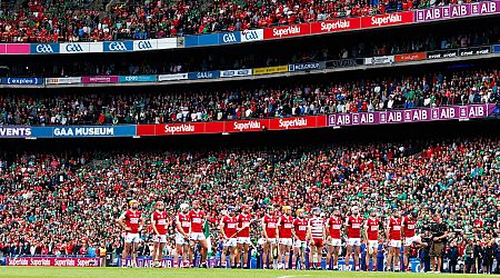 Nicky English on the Cork hurling team: Profiles of the 15 men bidding for All-Ireland glory 