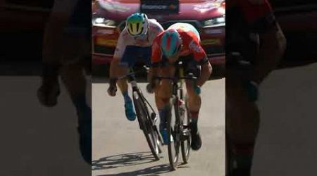 Victor Campenaerts ganador de la etapa 18 del Tour de Francia #tourdefrance #victorcamper