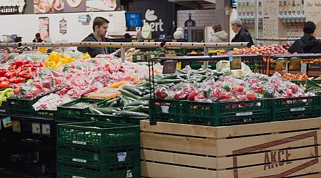 Czech food prices fall most rapidly in EU