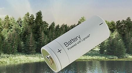 Factory in Finland replaces component of lithium batteries with new material from trees: 'Abundantly available'