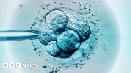 Fall in proportion of IVF cycles funded by NHS