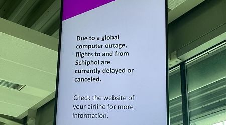 Global computer outage shows where vulnerabilities lie: Dutch parliamentarians