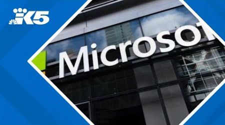 Crowdstrike outage hits Microsoft