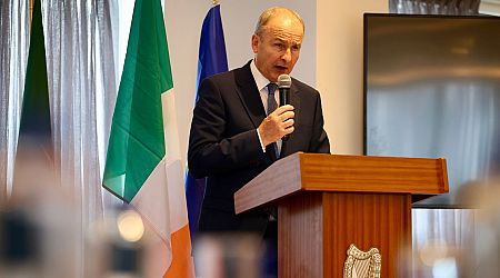 Micheal Martin says he'd like to be Taoiseach in next Government - and reveals thoughts on bid for Aras