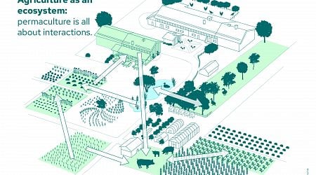 Permaculture found to be a sustainable alternative to conventional agriculture