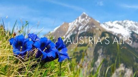 Beautiful Instrumental Hymns, Peaceful Soft Piano Music, &quot;Austria Alps Morning Sunrise&quot; By Tim Janis