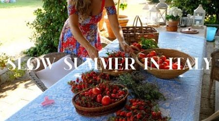 RENOVATING A RUIN: Preserving Tomatoes in Italy, Slow Summer Days, Cottage Building Continues Ep 58