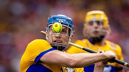 Shane Dowling column: My reasons for choosing Shane O'Donnell as my hurler of the year
