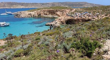  Man in critical condition after jumping off boat near Comino 