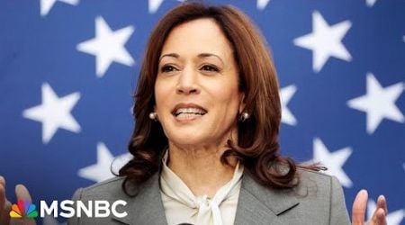 Would be &#39;really hard&#39; to challenge Harris for nomination if Biden steps down