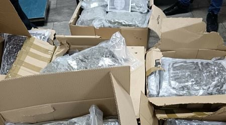 Large Amount of Marijuana Seized by Customs Officers Near Border with Greece 