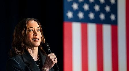 Where does Kamala Harris stand on key US voting issues?