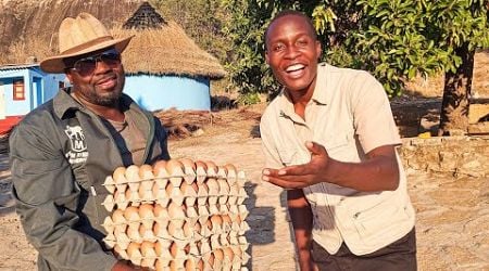 From Sweden to Becoming a SUCCESSFUL Farmer in Zimbabwe