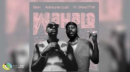 Bien, Adekunle Gold and ShineTTW - Wahala (Official Audio)