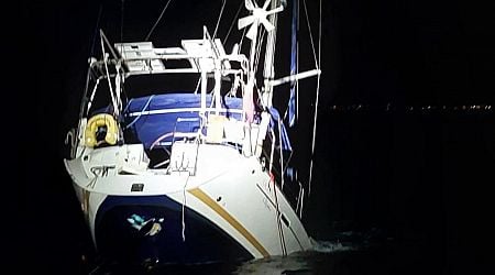 Crew pulled out of sea after killer whales sink UK-registered yacht off Spanish coast