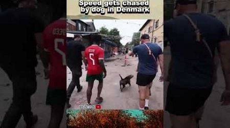 Ishowspeed gets chased by dog in denmark #ishowspeed #speed #shorts #europe #usa