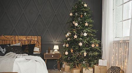 Never too early: The Christmas tree decor trends for 2024