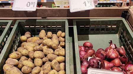 Local vs imported produce battle in Latvian shops continues