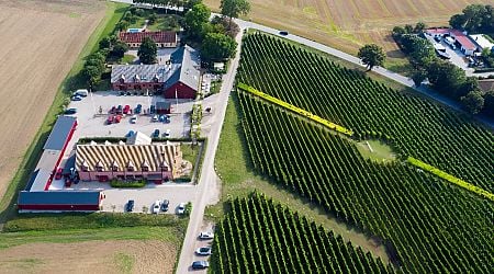 Sweden seeks to be winemaking's next frontier