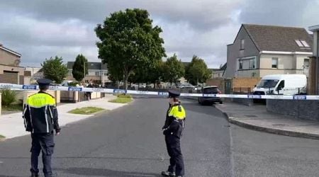 Gardai probe if young man was stabbed to death in Dublin after being accused of trying to break into a car as he is named locally