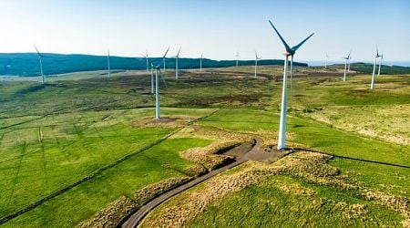 Anti-wind farm sentiment sees rate of planning permission approval plunge