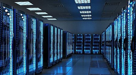 Friends of the Earth calls for temporary ban on new data centres over electricity use