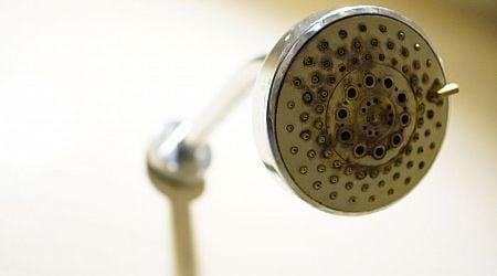 'Genius' limescale shower head cleaning hack uses one common household item